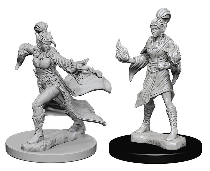 Pathfinder Deep Cuts Unpainted Miniatures: W1 Elf Female Sorcerer