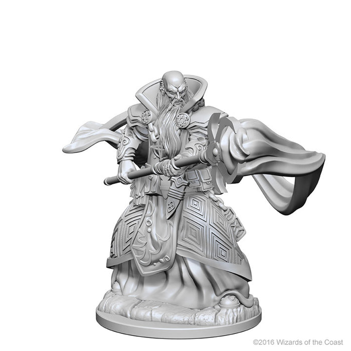 Dungeons and Dragons Nolzur`s Marvelous Unpainted Miniatures: W1 Human Male Wizard