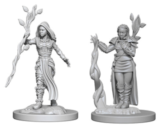 Dungeons and Dragons Nolzur`s Marvelous Unpainted Miniatures: W2 Human Female Druid