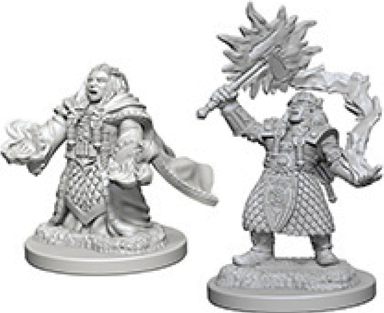 Dungeons and Dragons Nolzur`s Marvelous Unpainted Miniatures: W4 Dwarf Female Cleric