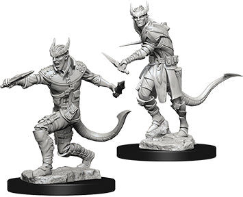 Dungeons and Dragons Nolzur`s Marvelous Unpainted Miniatures: W5 Tiefling Male Rogue
