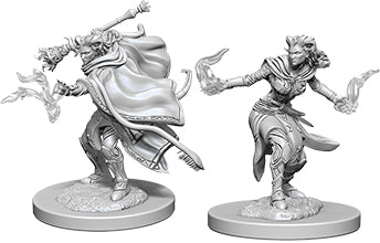 Dungeons and Dragons Nolzur`s Marvelous Unpainted Miniatures: W6 Female Tiefling Warlock