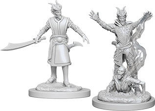 Dungeons and Dragons Nolzur`s Marvelous Unpainted Miniatures: W6 Male Tiefling Warlock