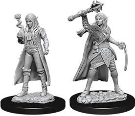 Dungeons and Dragons Nolzur`s Marvelous Unpainted Miniatures: W10 Female Elf Cleric