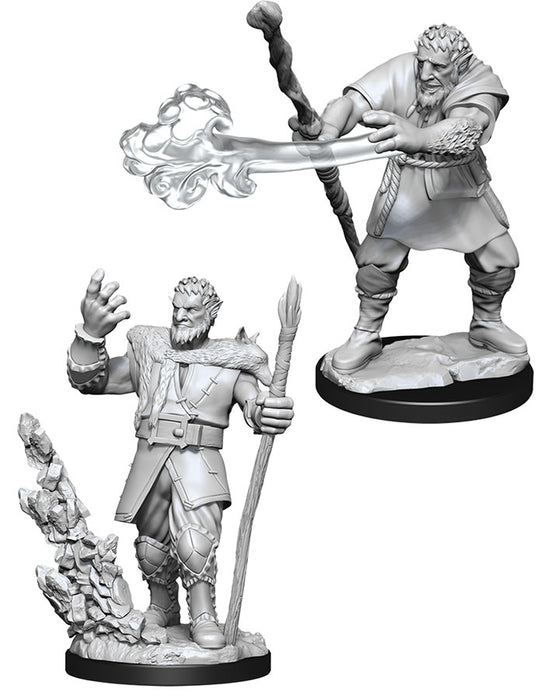 Dungeons and Dragons Nolzur`s Marvelous Unpainted Miniatures: W11 Male Firbolg Druid