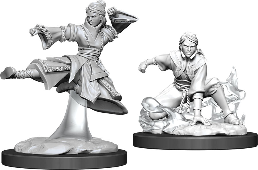 Dungeons and Dragons Nolzur`s Marvelous Unpainted Miniatures: W11 Female Human Monk