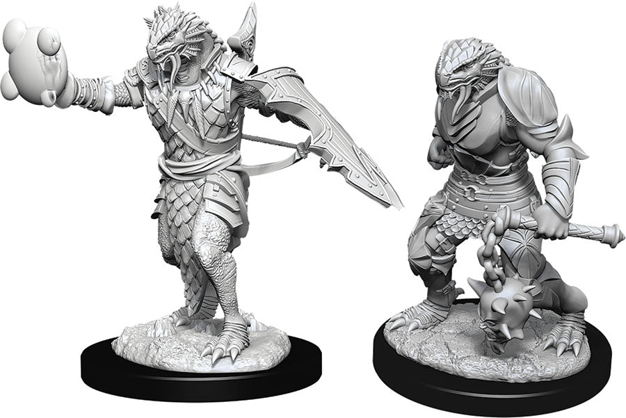 Dungeons and Dragons Nolzur`s Marvelous Unpainted Miniatures: W11 Male Dragonborn Paladin