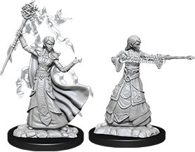 Dungeons and Dragons Nolzur`s Marvelous Unpainted Miniatures: W12 Female Elf Wizard