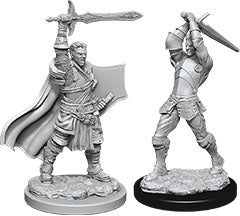 Dungeons and Dragons Nolzur`s Marvelous Unpainted Miniatures: W12 Male Human Paladin
