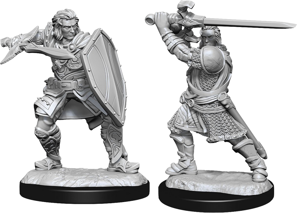 Dungeons and Dragons Nolzur`s Marvelous Unpainted Miniatures: W14 Human Paladin Male