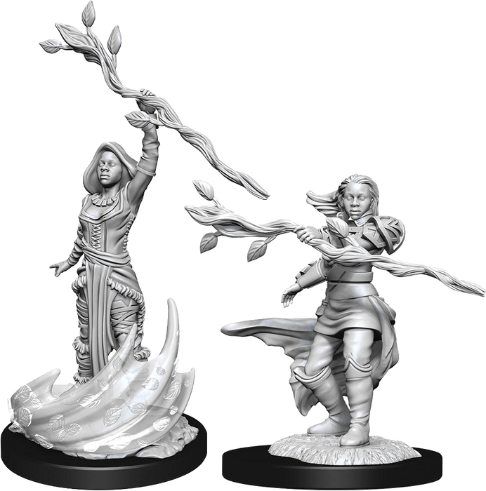 Dungeons and Dragons Nolzur`s Marvelous Unpainted Miniatures: W14 Human Druid Female
