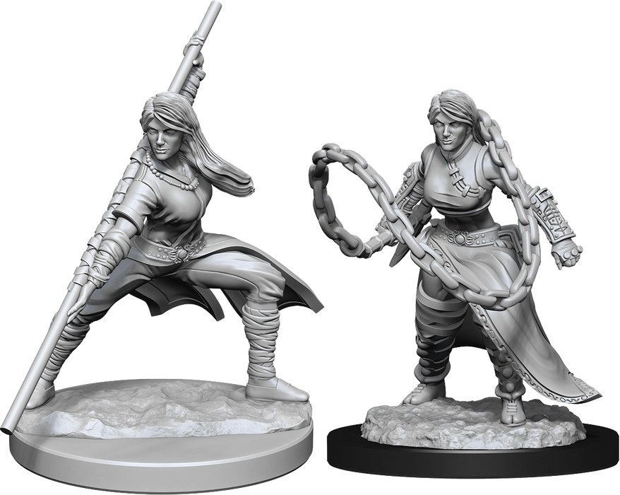 Dungeons and Dragons Nolzur`s Marvelous Unpainted Miniatures: W14 Human Monk Female