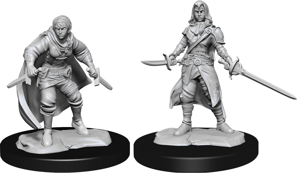 Dungeons and Dragons Nolzur`s Marvelous Unpainted Miniatures: W14 Half-Elf Rogue Female