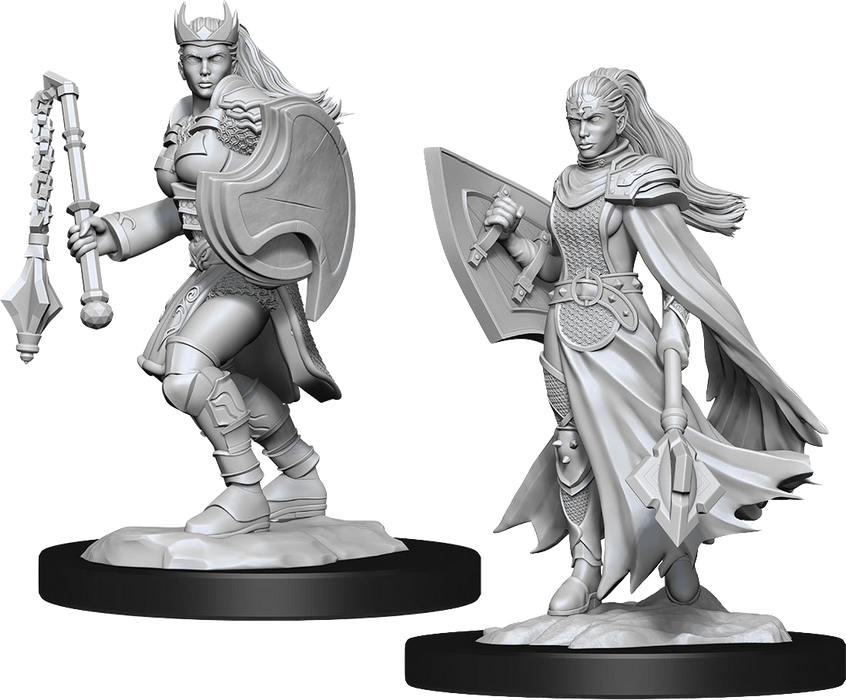Dungeons and Dragons Nolzur`s Marvelous Unpainted Miniatures: W14 Kalashtar Cleric Female