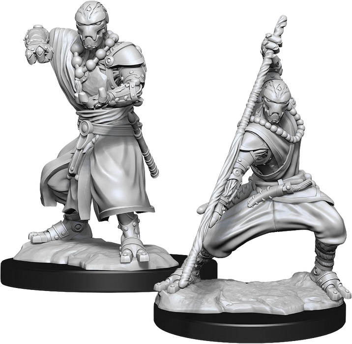 Dungeons and Dragons Nolzur`s Marvelous Unpainted Miniatures: W14 Warforged Monk