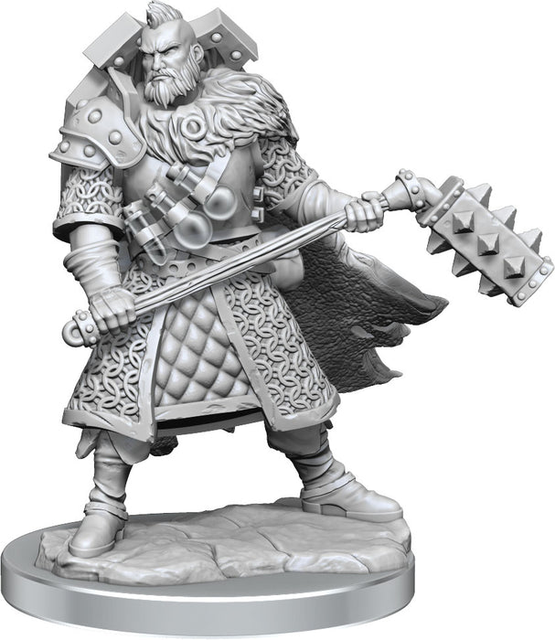 Dungeons and Dragons Frameworks: W01 Human Fighter Male