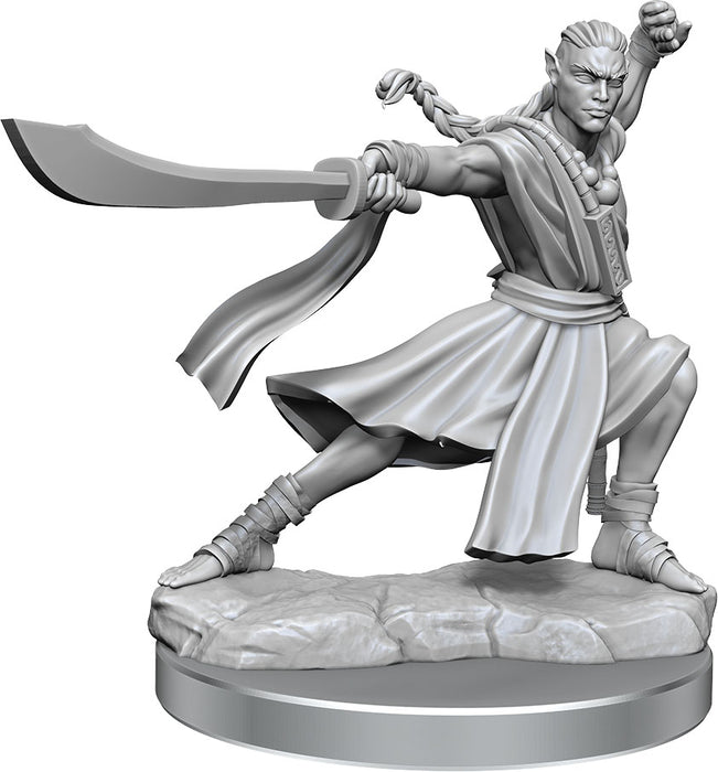 Dungeons and Dragons Frameworks: W01 Elf Monk Male