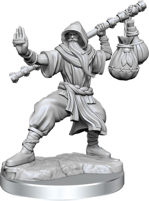 Dungeons and Dragons Frameworks: W01 Human Monk Male