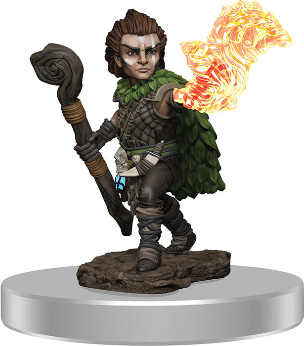 Pathfinder Battles: Premium Painted Figure - W03 Male Gnome Druid