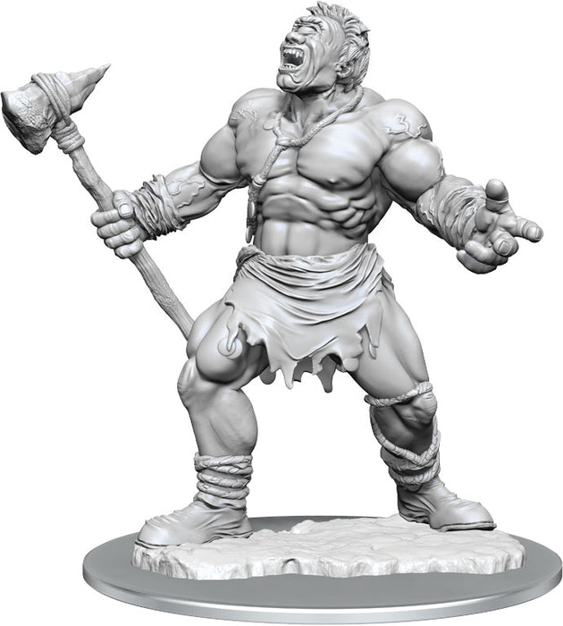 Dungeons and Dragons Nolzur`s Marvelous Unpainted Miniatures: W16 Cyclops