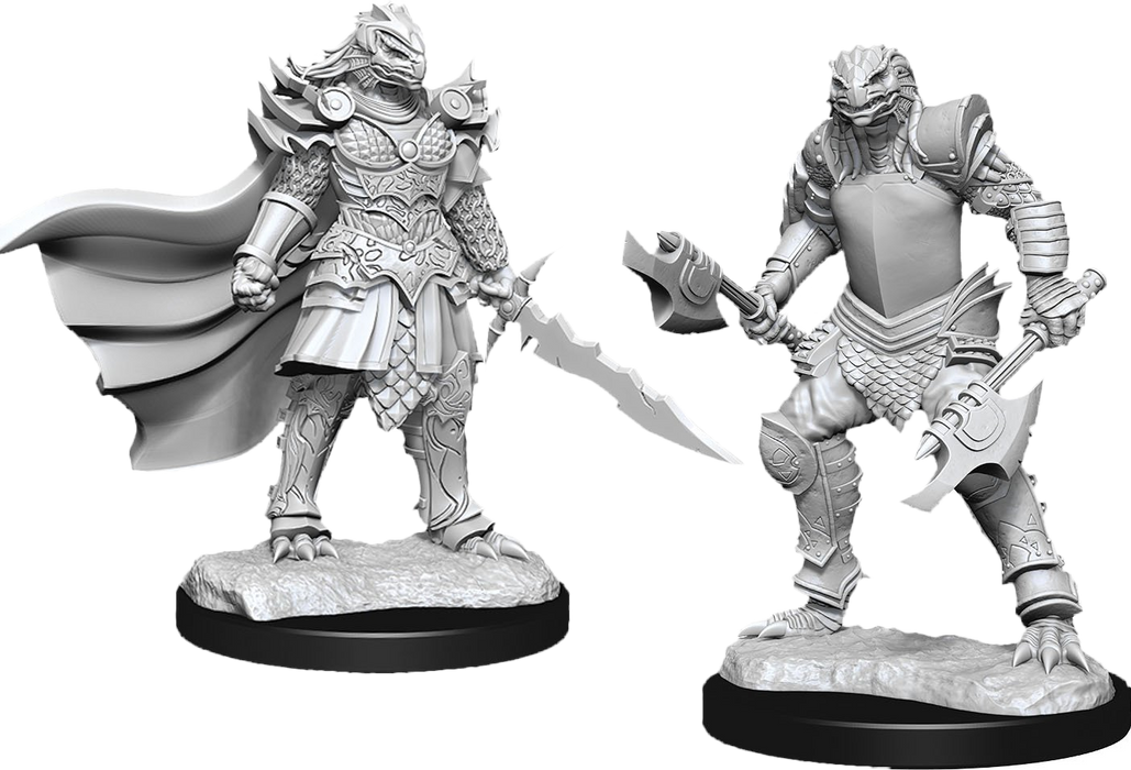 Dungeons and Dragons Nolzur`s Marvelous Unpainted Miniatures: W15 Dragonborn Fighter Female