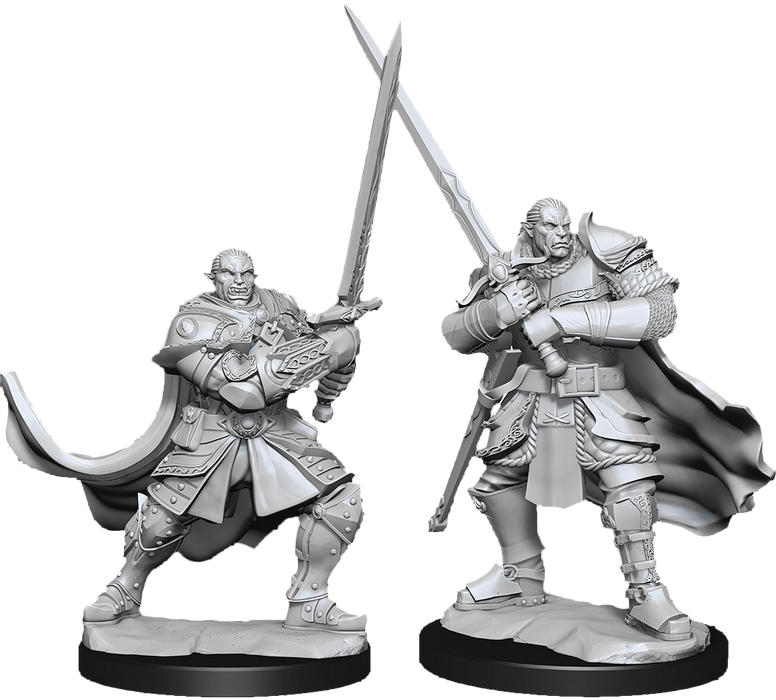 Dungeons and Dragons Nolzur`s Marvelous Unpainted Miniatures: W15 Half-Orc Paladin Male