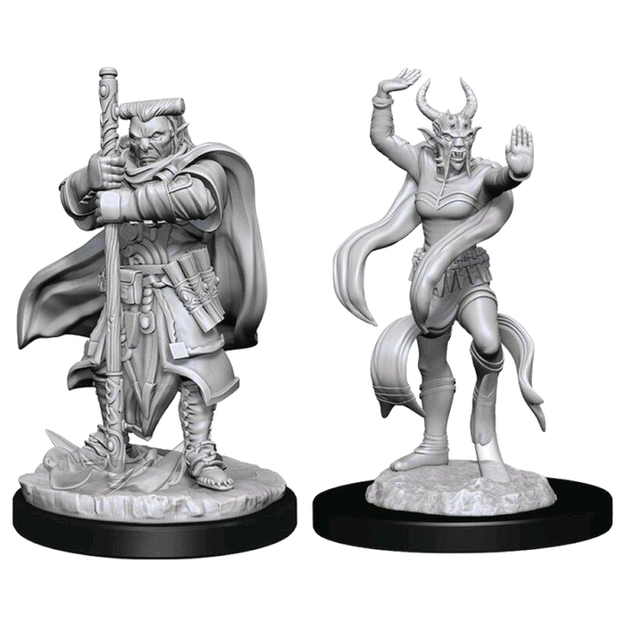 Dungeons and Dragons: Nolzurs Marvelous Unpainted Miniatures - Hobgoblin Devastater and Iron Shadow