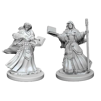 Dungeons and Dragons Nolzur`s Marvelous Unpainted Miniatures: W1 Human Female Wizard