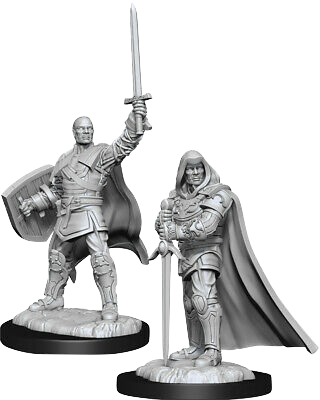 Dungeons and Dragons Nolzur`s Marvelous Unpainted Miniatures: W13 Human Paladin Male