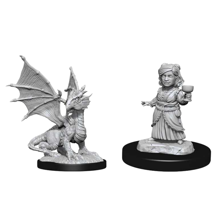 Dungeons and Dragons: Nolzurs Marvelous Unpainted Miniatures - Silver Dragon Wyrmling and Halfling Dragon Friend