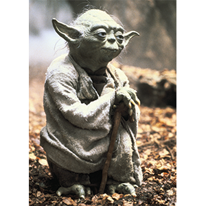 Star Wars: Yoda Card Sleeves