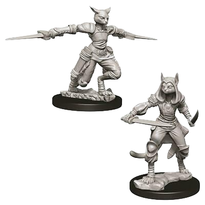 Dungeons and Dragons Nolzur`s Marvelous Unpainted Miniatures: W9 Female Tabaxi Rogue